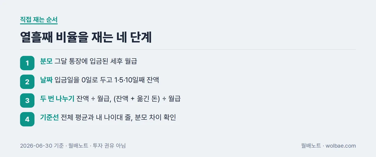열흘째 비율을 재는 네 단계