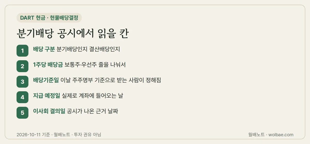 분기배당 공시에서 읽을 칸